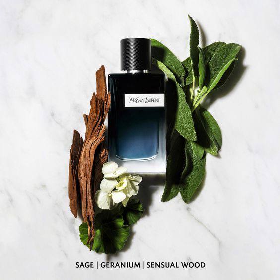 Yves Saint Laurent Y - 10 Ml & 5 Ml